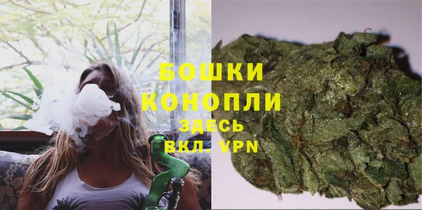 сатива Армянск